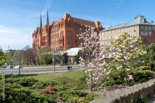 Rotes Rathaus Stettin photo