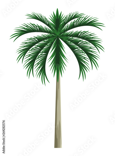 palm icon cartoon