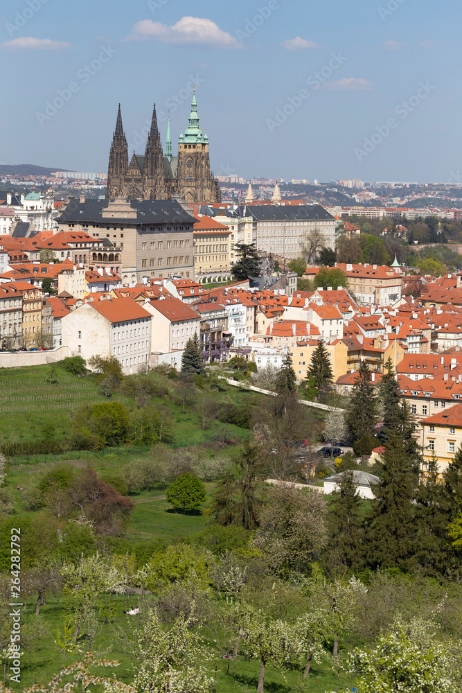 Spring Prague City with gothic Castle and the green Nature and flowering Trees, Czech Republic