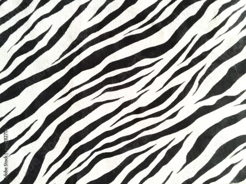 Fototapeta na wymiar zebra skin texture