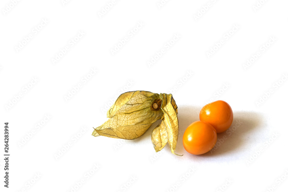 Cape gooseberry on white background Cape gooseberry on white background