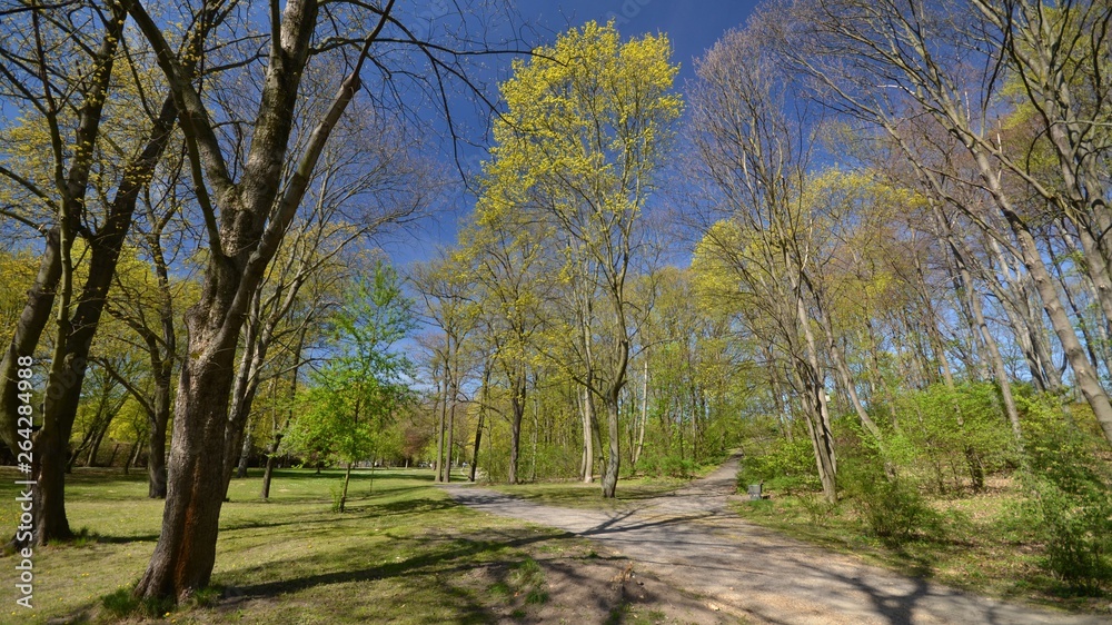 Spring Impressions from the Goethe Park in Berlin-Wedding from April 21, 2015, Germany Spring Impressions from the Goethe Park in Berlin-Wedding from April 21, 2015, Germany
