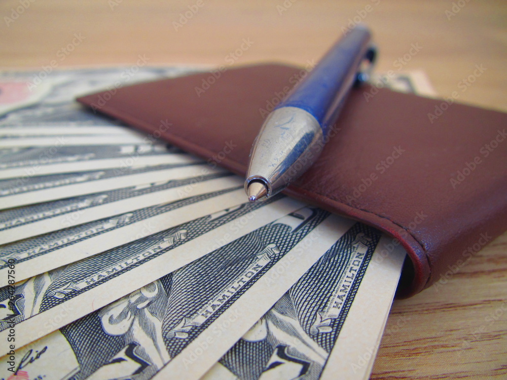 Fototapeta premium Dollars in a wallet with a handle in business style