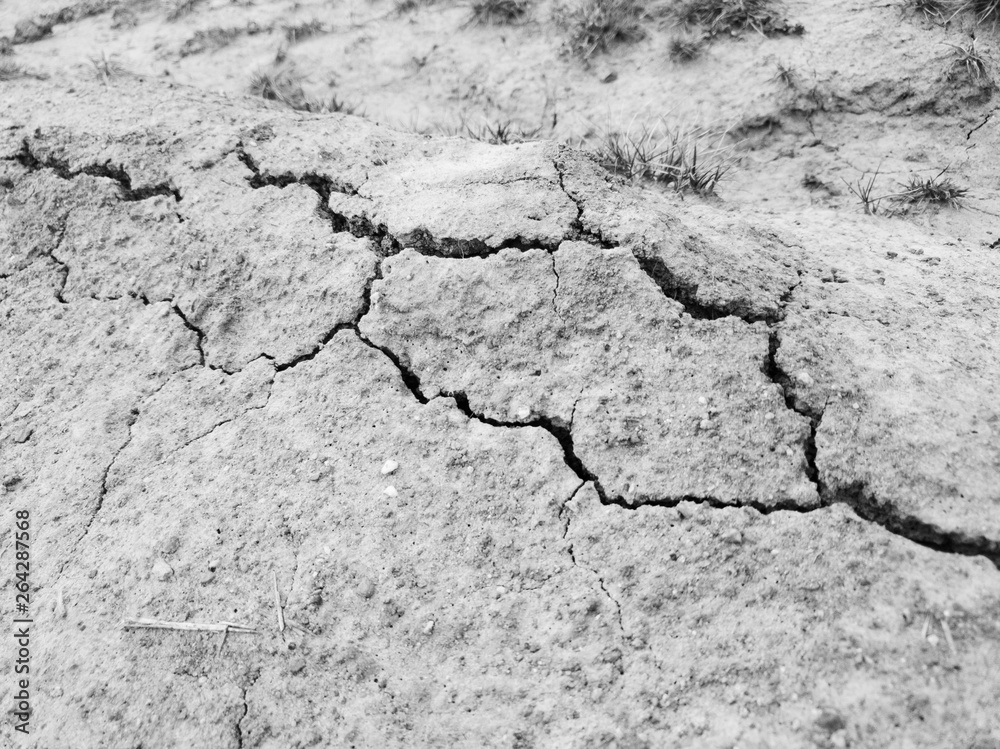 Fototapeta premium Cracked dried ground.Dried earth and grass close-up