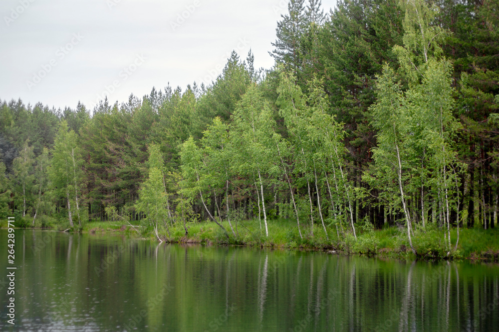 A lake surrounded by green forest on a cloudy summer day. Trees are reflected in the water. Panoramic view of wildlife on a summer day. A lake surrounded by green forest on a cloudy summer day. Trees are reflected in the water. Panoramic view of wildlife on a summer day.