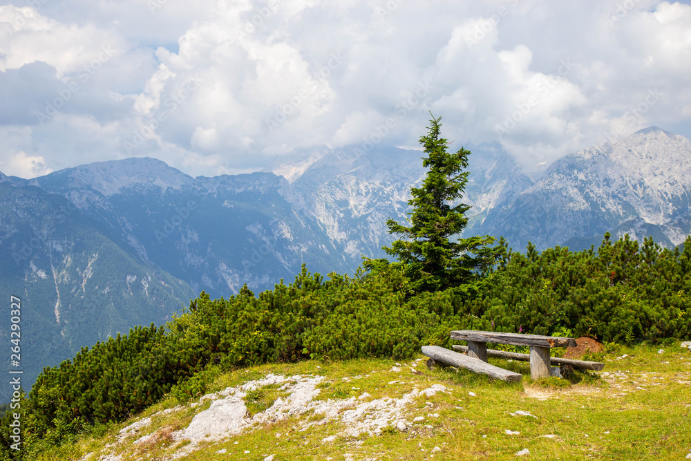 Beautiful Pastures of Triglav National Park, Julian Alps, Slovenia