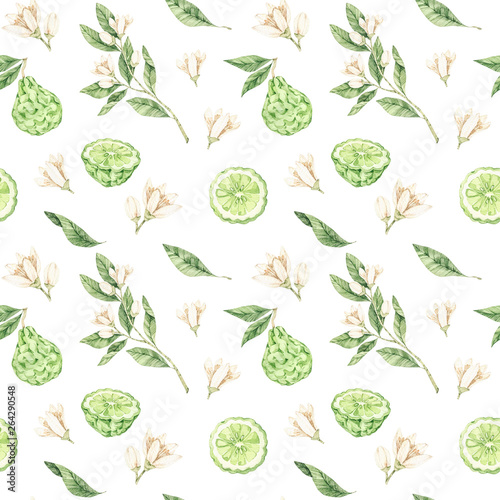 Watercolor botanical illustrations. Seamless pattern with bergamot blossom and fruit. Citrus bergamia (flowers, fruit and leaves) collection. Perfect for wedding invitations, prints, posters, packing