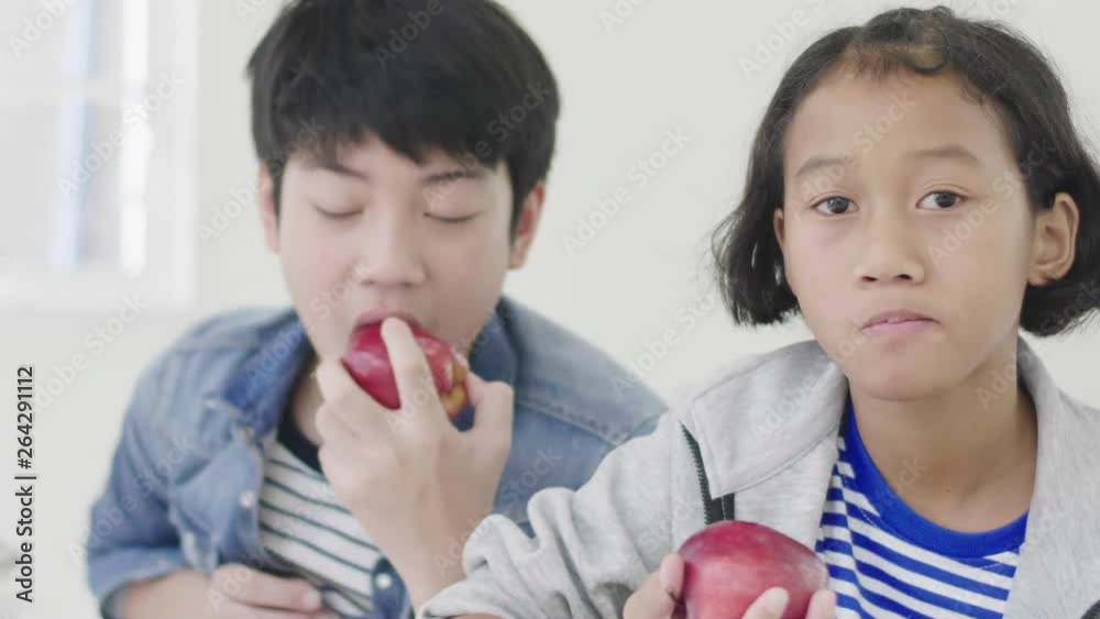 Young boys are using computers to teach and explain homework. To friends with facial expressions and happy gestures, Both children are eating apples. And also do homework Young boys are using computers to teach and explain homework. To friends with facial expressions and happy gestures, Both children are eating apples. And also do homework