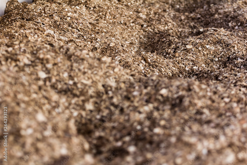 Sawdust and compost compost in the Compost Barn system. Cattle confinement ensured higher productivity and milk quality Sawdust and compost compost in the Compost Barn system. Cattle confinement ensured higher productivity and milk quality