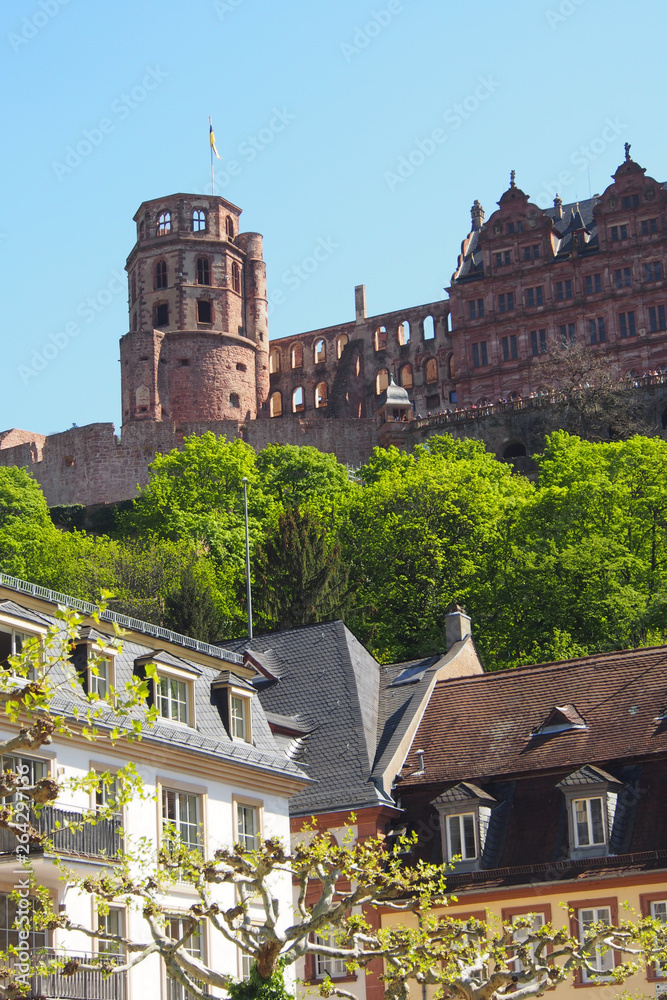 Heidelberger Schloss, Altstadt, Deutschland