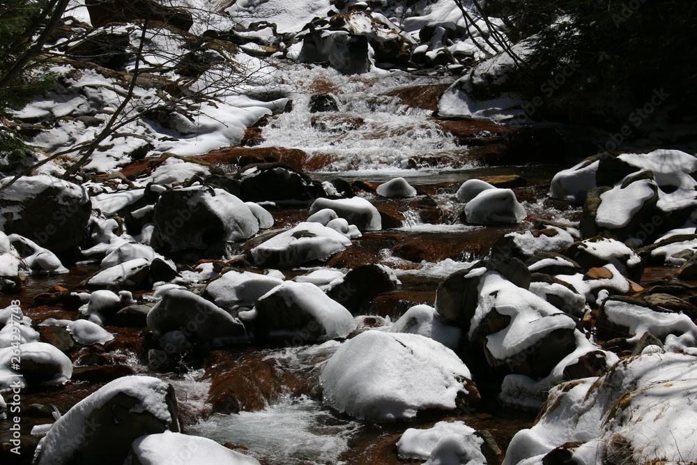 Fototapeta premium 早春 雪の八ヶ岳連峰 北沢のせせらぎ