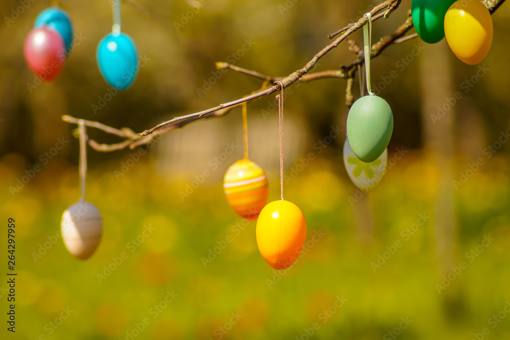 Easter Eggs on a tree Easter Eggs on a tree
