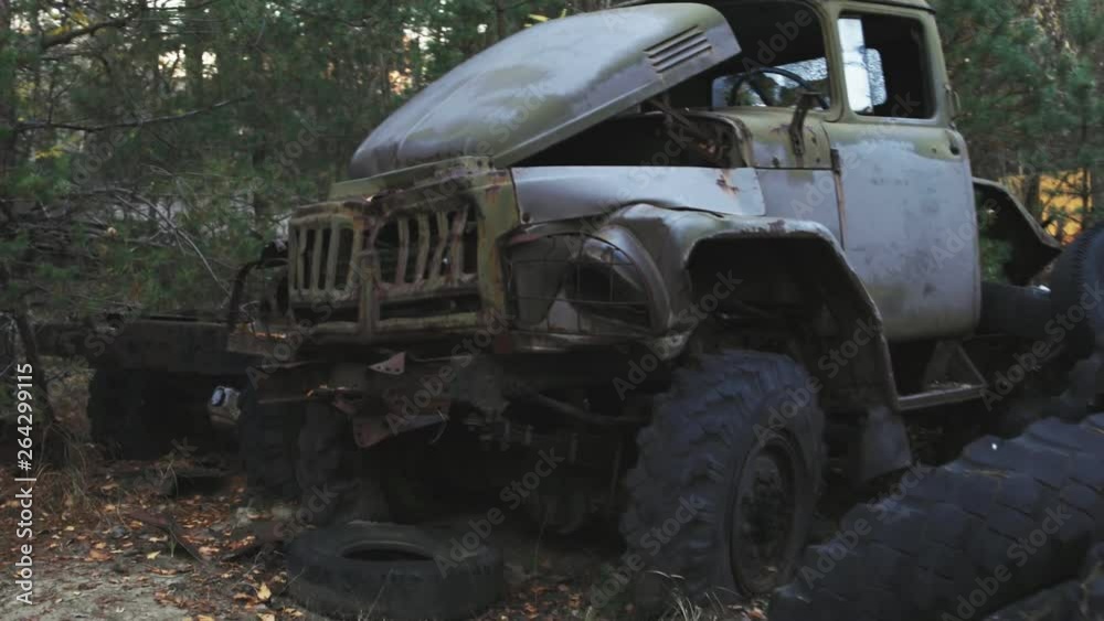 Fallen tree on abandoned truck left outside Fallen tree on abandoned truck left outside