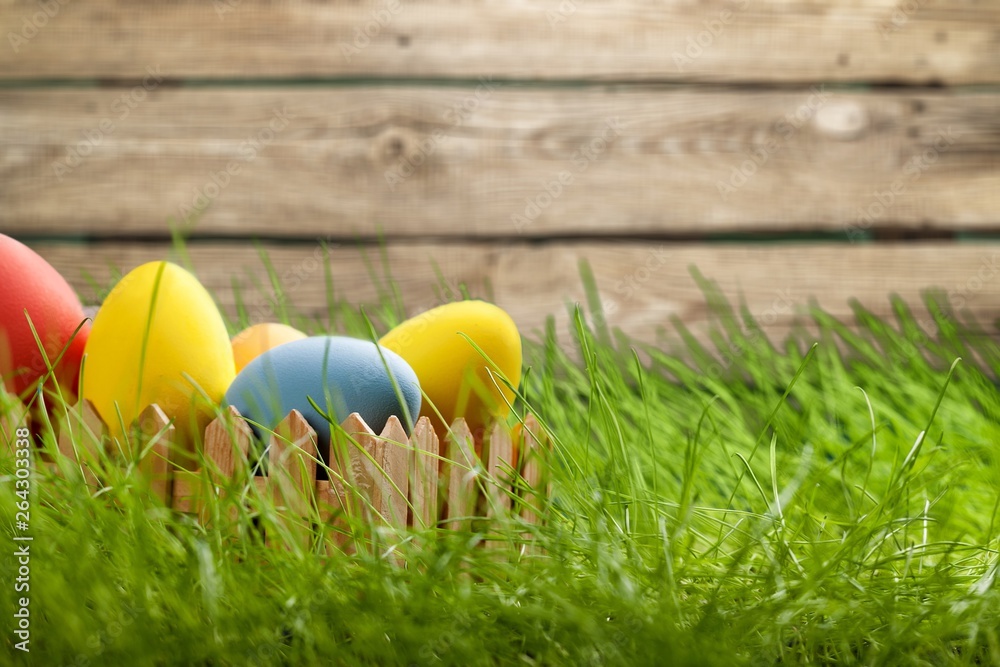 Fototapeta premium Easter.