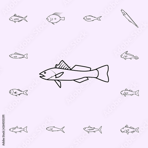 spotter seatrout icon. Fish icons universal set for web and mobile