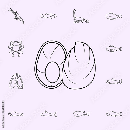 abalone paua icon. Fish icons universal set for web and mobile
