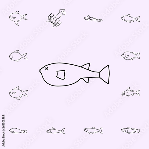 buffer fish icon. Fish icons universal set for web and mobile