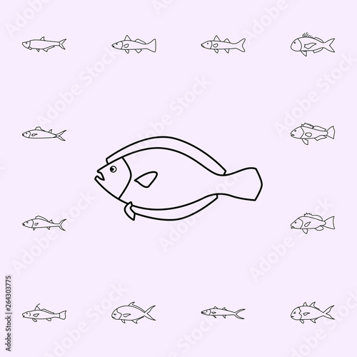 flounder icon. Fish icons universal set for web and mobile
