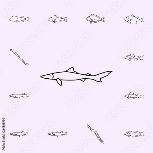 spiny dogfish icon. Fish icons universal set for web and mobile