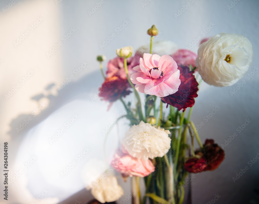 Beautiful ranunculus bouquet flower in vase against white wall with shadows of the flower from warm summer light Beautiful ranunculus bouquet flower in vase against white wall with shadows of the flower from warm summer light