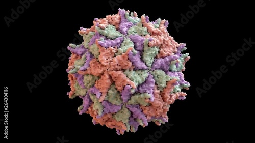 Nodamura Virus (Nodaviridae) Capsid Structure based on PDB : 1NOV, 360 degree rotation loop photo