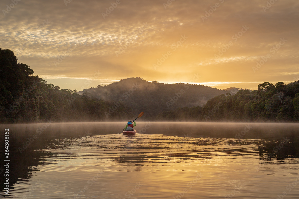 Tranquil paddle in a kayak at dawn down a flat river, with misty rainforest and mountain scenery Tranquil paddle in a kayak at dawn down a flat river, with misty rainforest and mountain scenery