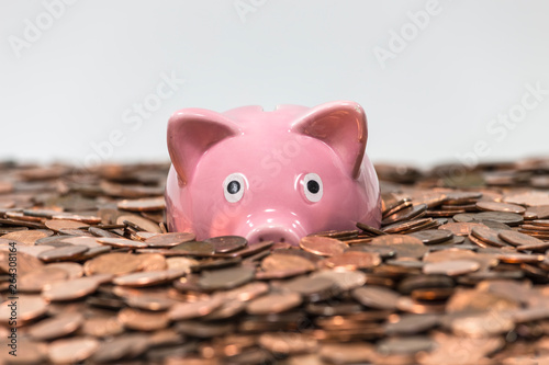 Pink piggy bank swimming in copper pennies.