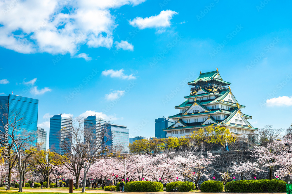 Naklejka premium Zamek w Osace wiosną