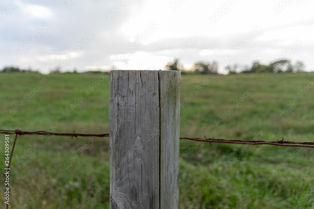 Fototapeta premium fence and blue sky