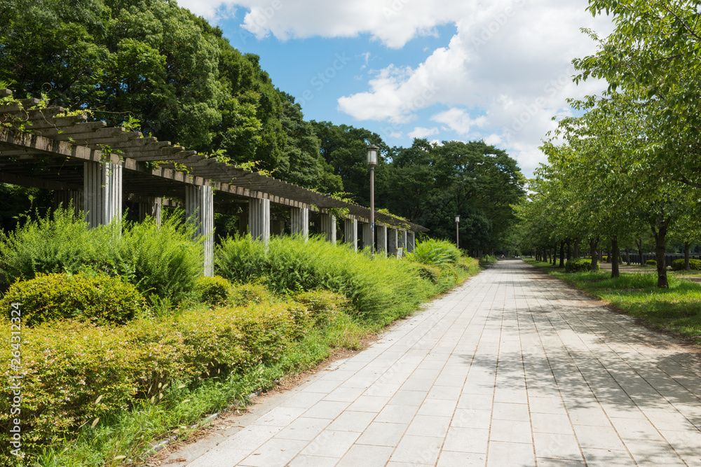 夏の大阪城公園