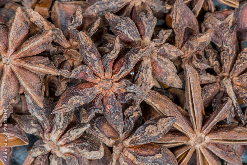 Group of Star Anise Group of Star Anise