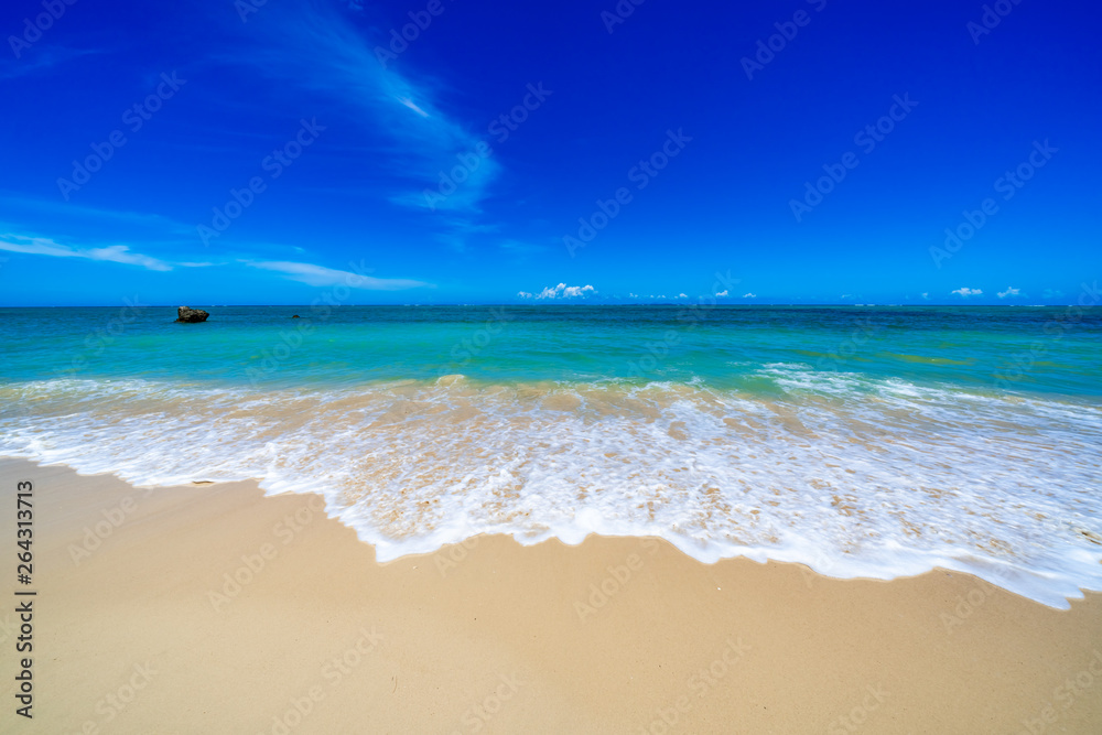 Fototapeta premium 沖縄の海