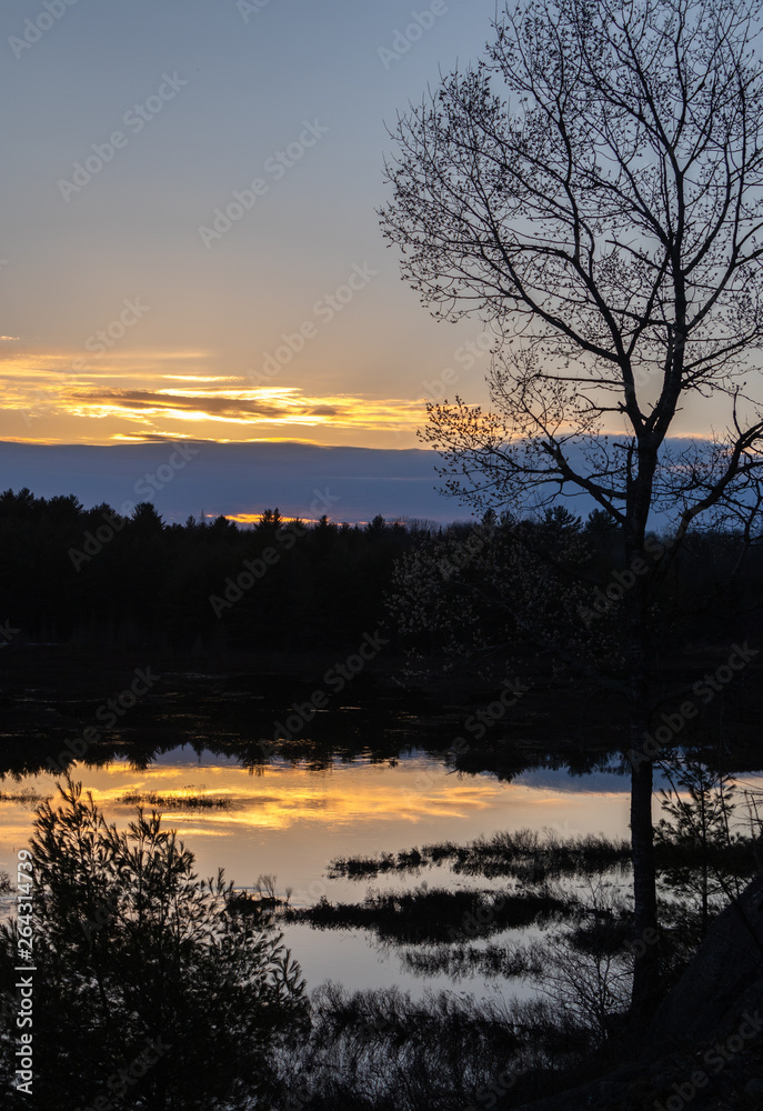Tranquil Spring sunset at a pond in Muskoka
