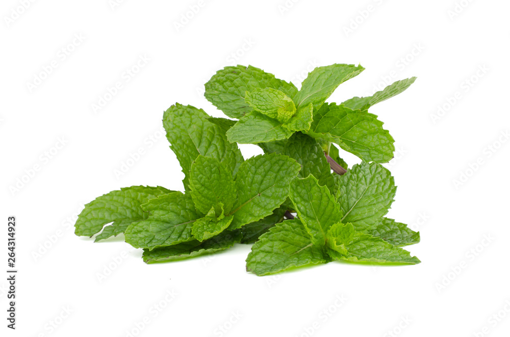 Fresh mint leaves isolated on white background. Fresh mint leaves isolated on white background.