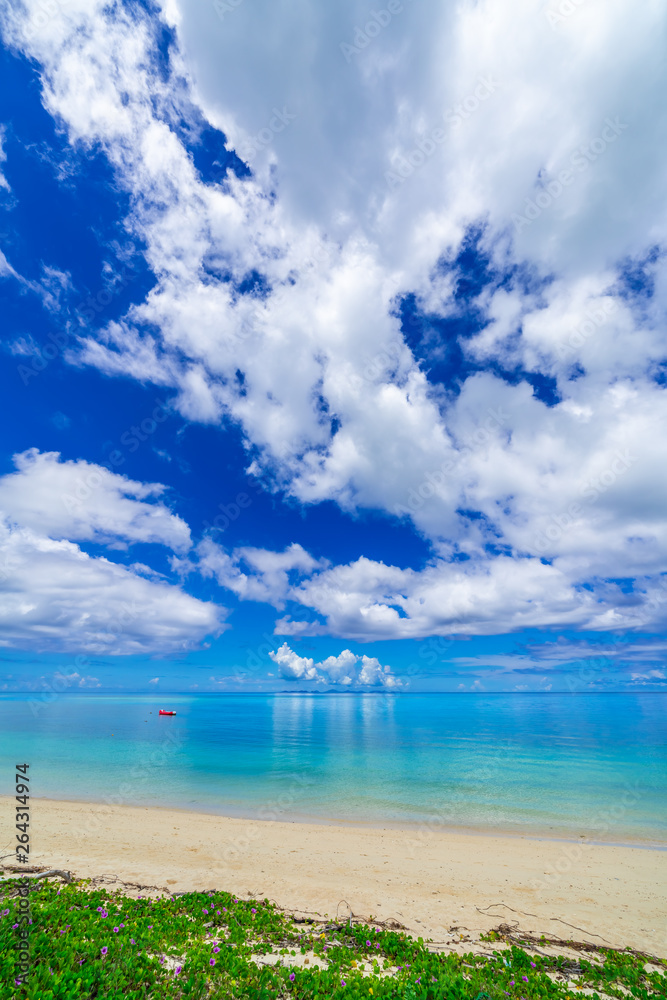 沖縄の海 沖縄の海