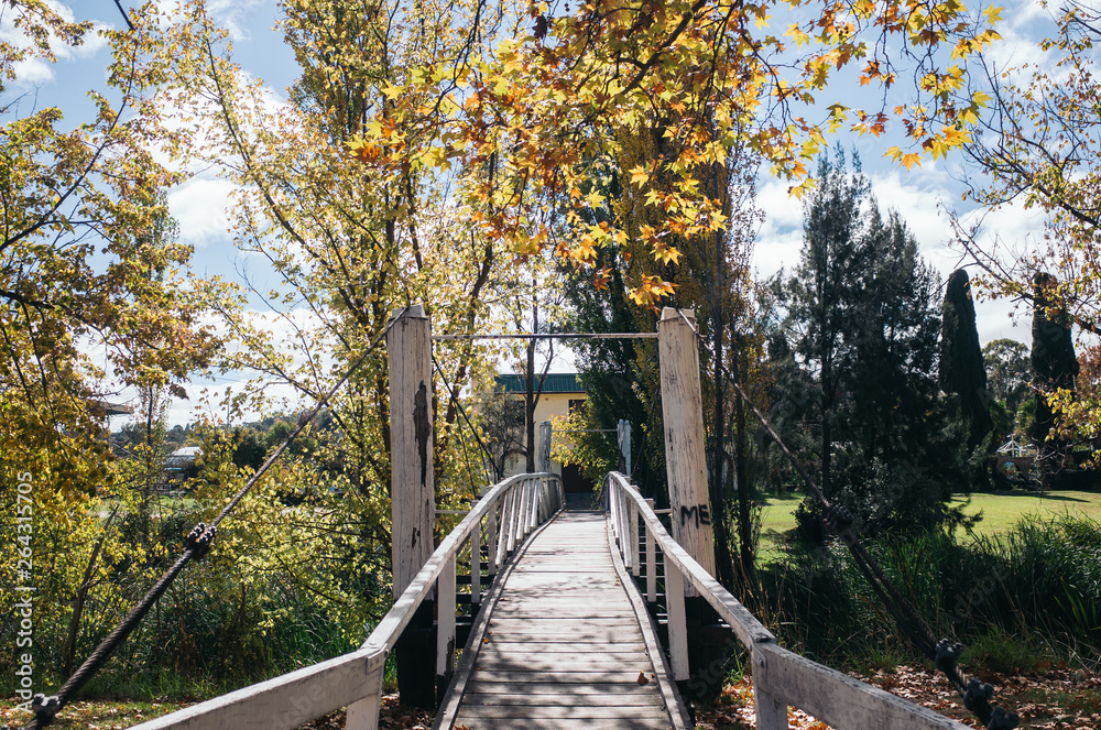 bridge in the park bridge in the park