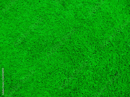 Natural grass texture pattern background. Green grass texture for background. Fresh green background.
