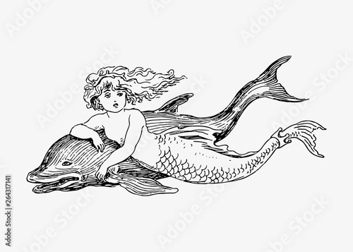 Mermaid and a dolphin