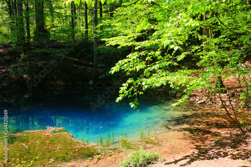 River source in the mountainous forest © Željko Radojko