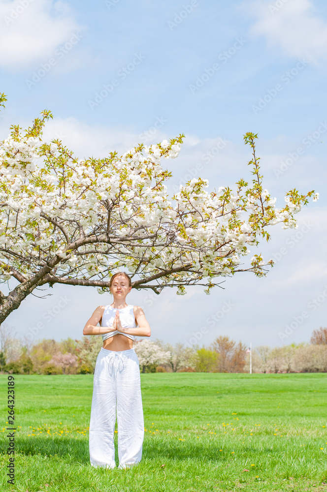 Beautiful young woman is practicing yoga near blossom tree at the park. Beautiful young woman is practicing yoga near blossom tree at the park.