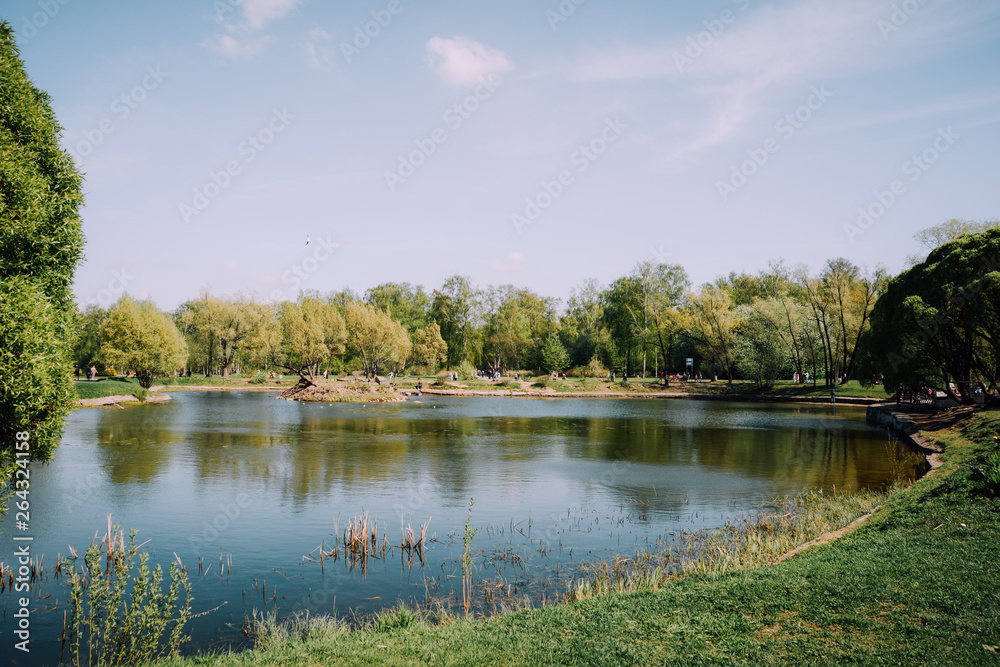 Lake in a park.