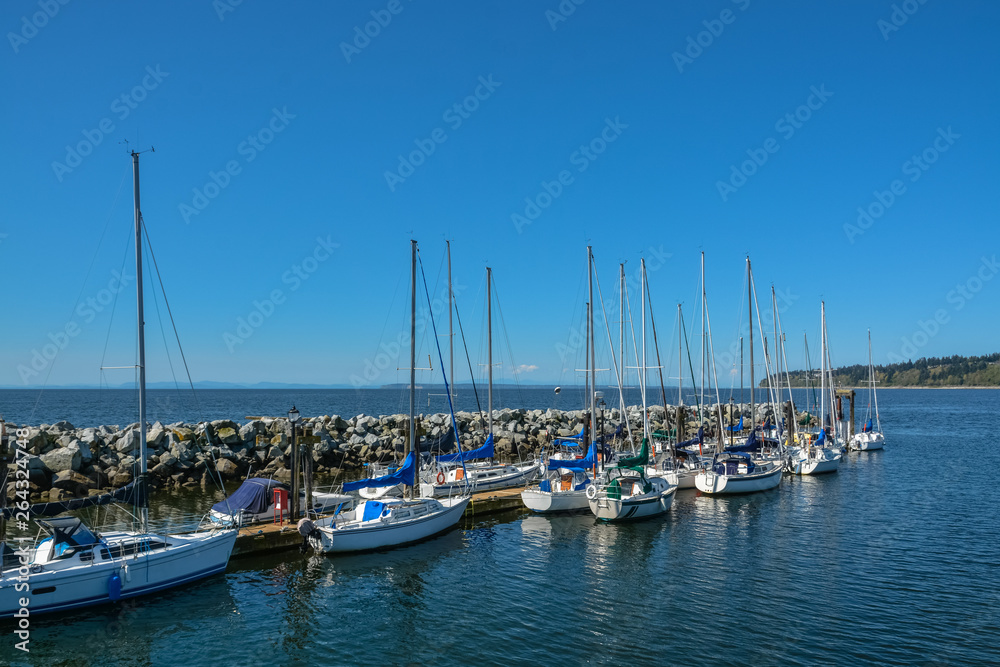 Sailing boats and yachts at mooring line on Pacific ocean. Landscape of marine regatta floating in the harbor