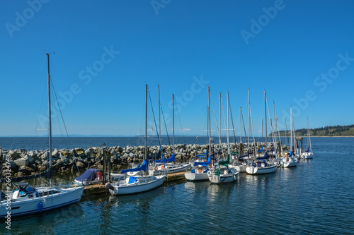 Sailing boats and yachts at mooring line on Pacific ocean. Landscape of marine regatta floating in the harbor