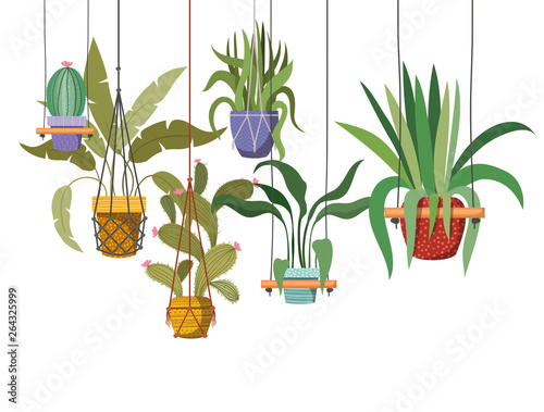 houseplants on macrame hangers icon