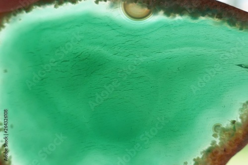 agate texture. green agate slice mineral greenery.Green agate arc slice texture.Natural stone bright Green background. Phone wallpaper 