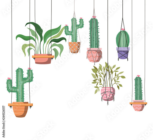 houseplants on macrame hangers icon