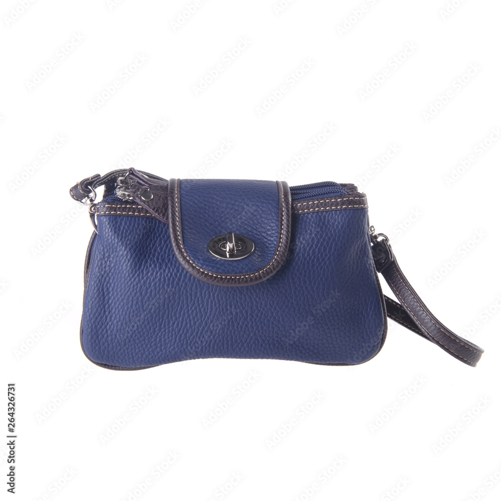 bag or women bag with concept on background. bag or women bag with concept on background.