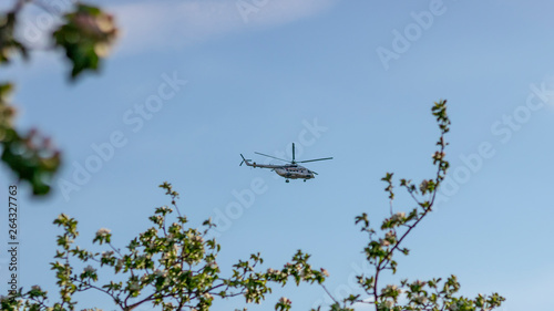 helicopter flying over tree tops in spring
