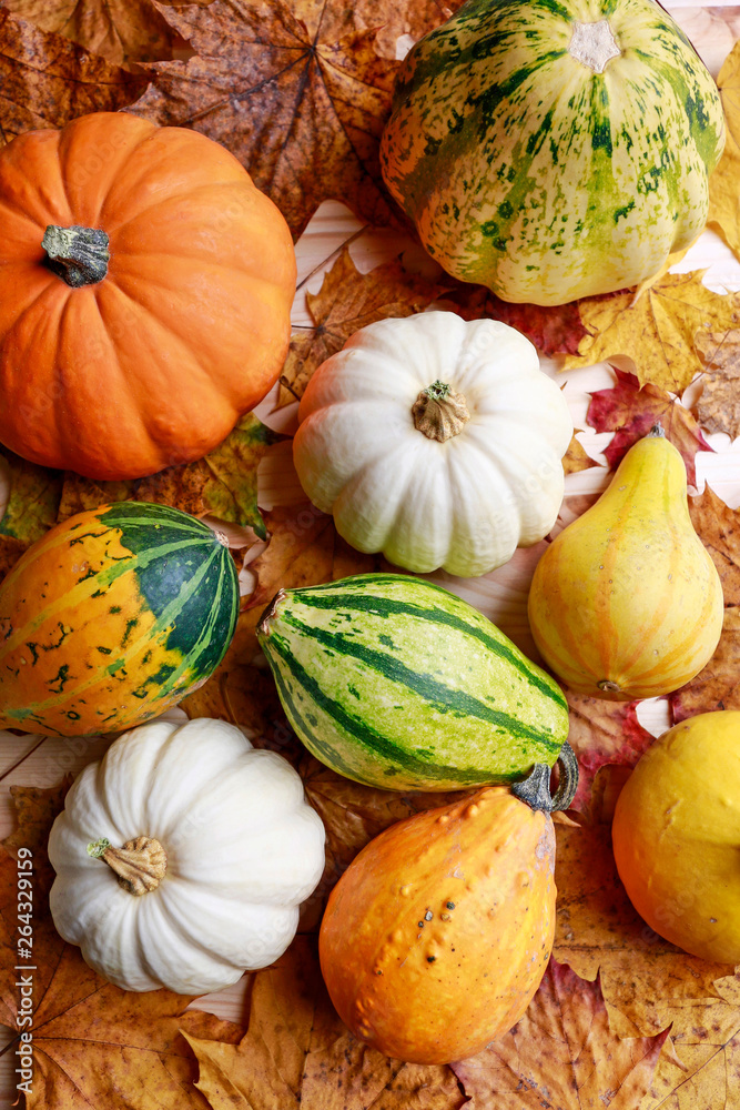 Pumpkins and colorful leaves on wooden background. Pumpkins and colorful leaves on wooden background.