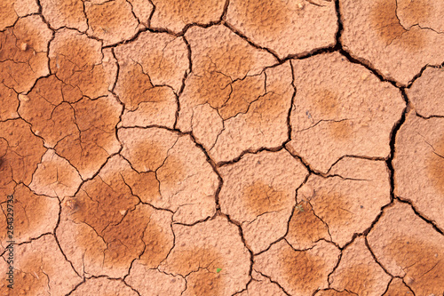 Dry cracked earth background, soil ground texture
